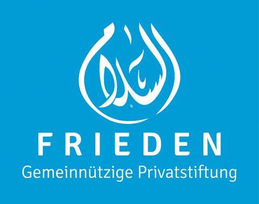 Logo der Gemeinnützige Privatstiftung Frieden